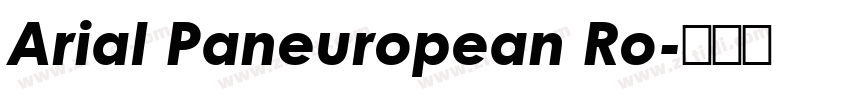 Arial Paneuropean Ro字体转换